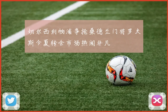 切尔西利物浦争抢桑德兰门将罗夫斯今夏转会市场热闹非凡